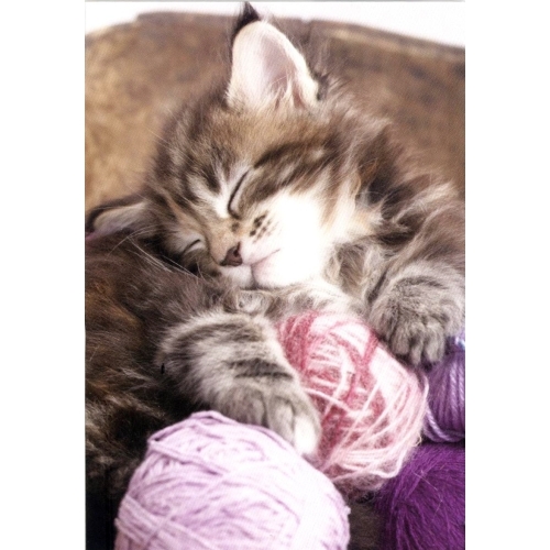 MINI KORT, SOVENDE KAT. MINIS..