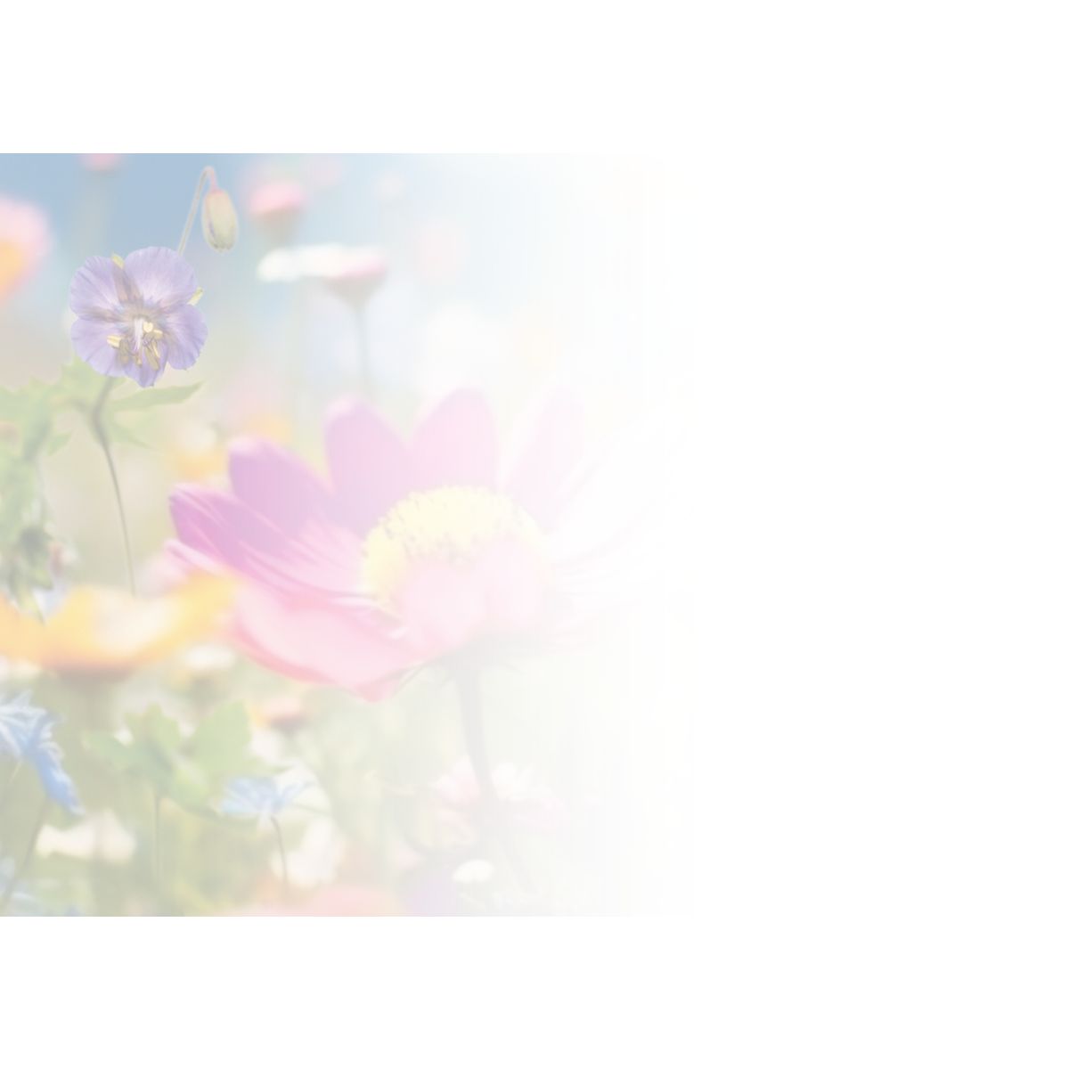 MINI KORT, BLOMSTER. MINIS..