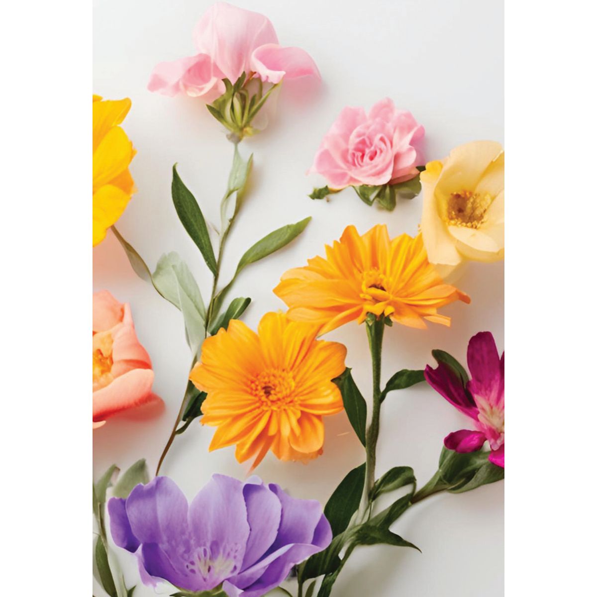 MINI KORT, ROSE I KOP.  MINIS.. MINI KORT, ROSE I KOP.  MINIS..