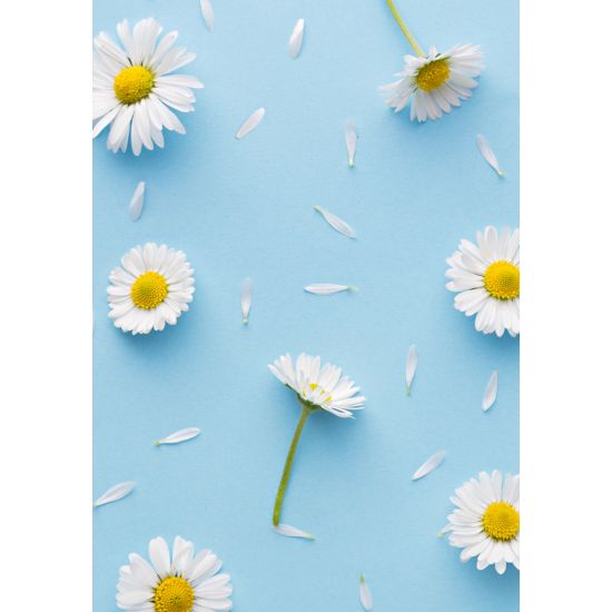 MINI KORT, TUSINFRYD. MINIS..