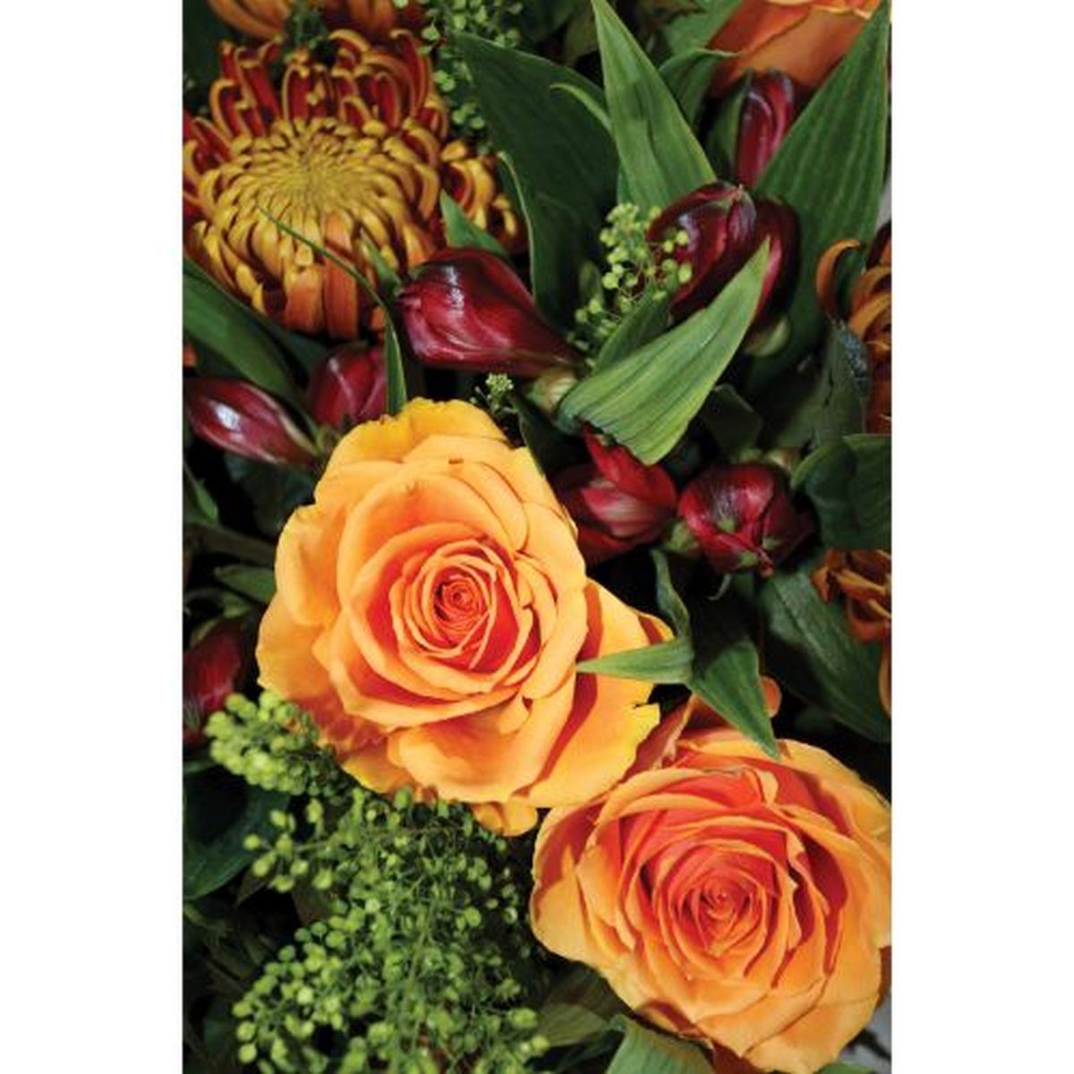 MINI KORT, ROSER ORANGE. MINIS..