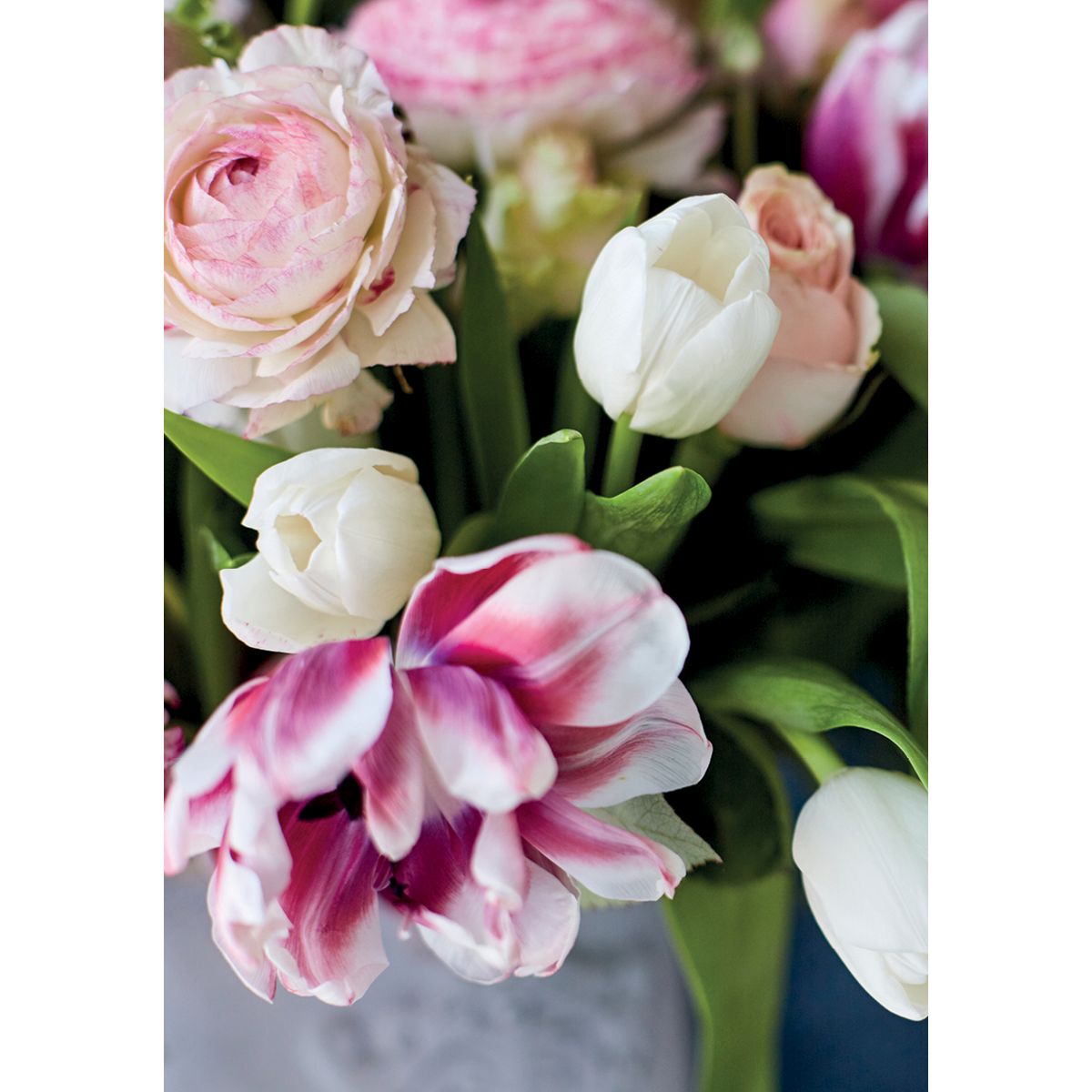 MINI KORT, BUKET. MINIS..