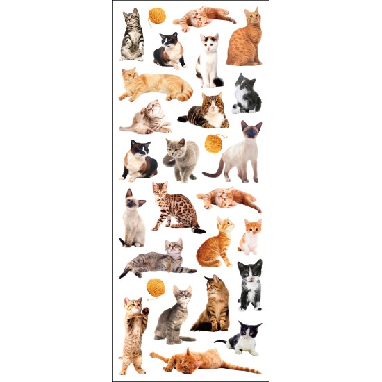 STICKERS KATTE TINKA