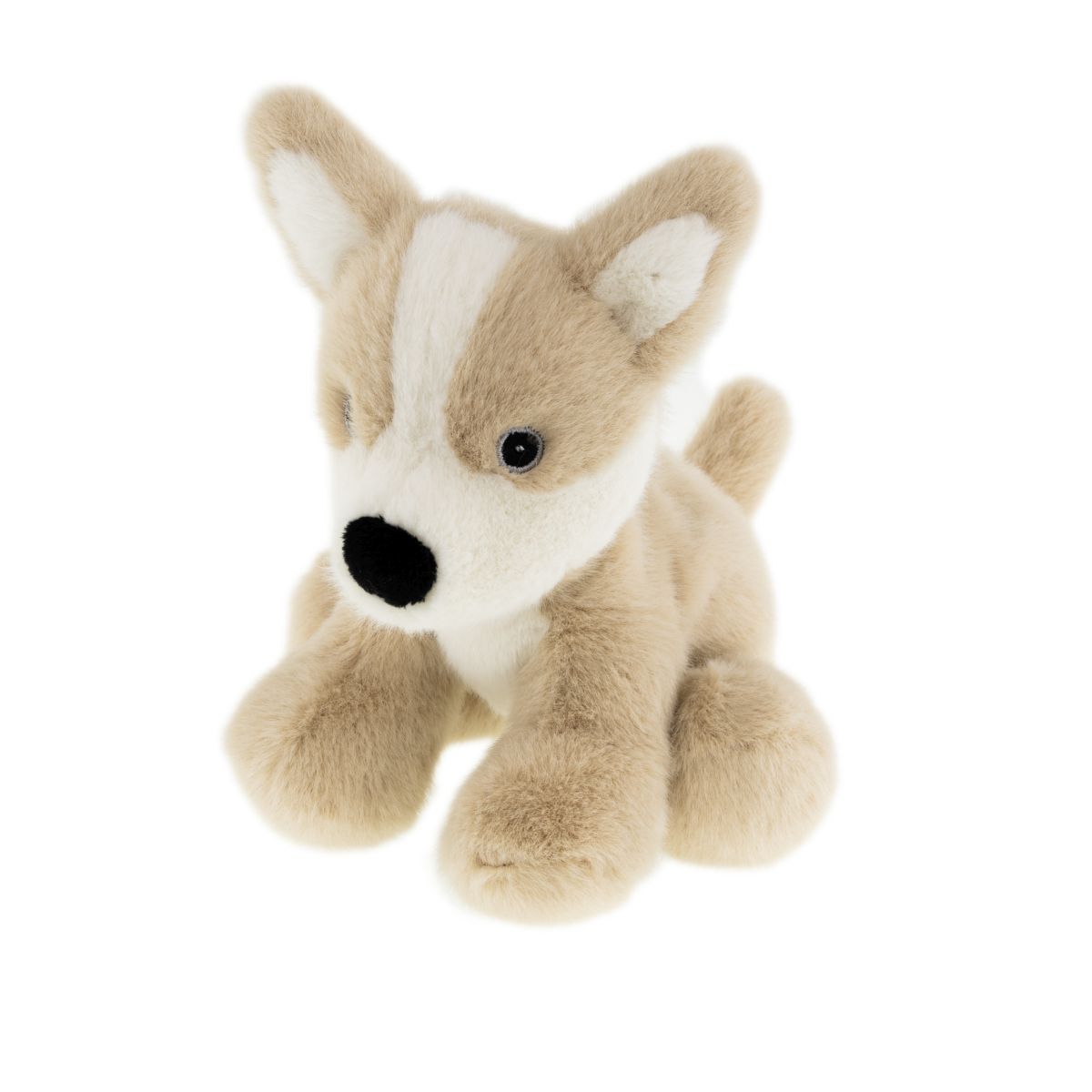 CORGIE 20CM TINKA PLYS